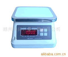 TH168-W3防水电子计重秤