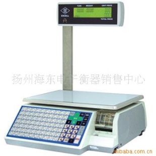 FE 计价印表秤
