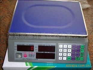 上海友声电子秤