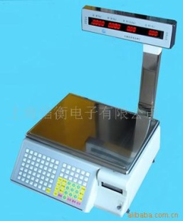 电子条码秤TM-Aa-1-b