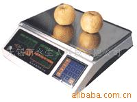启东防潮电子秤
