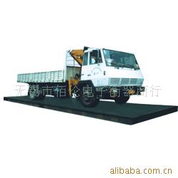 防爆秤SCS-50A