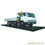 防爆秤SCS-50A