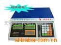 电子地磅BPS-X