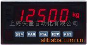 称重显示器PAXS