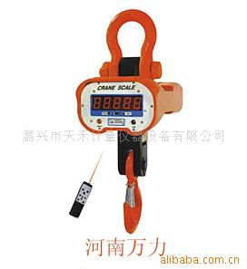 电子吊秤OCS-5T