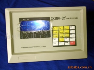 地上衡仪表XK3190-D2