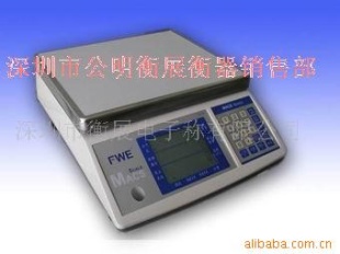 FWE衡之宝地磅