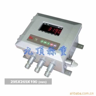 BXK3190-A12E防爆仪表