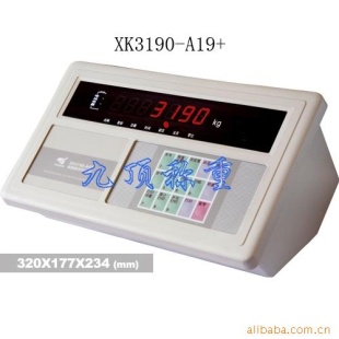 XK3190-A19 汽车衡仪表