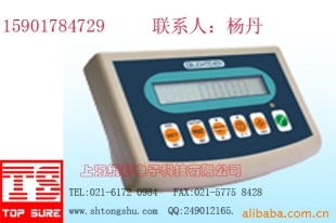 钰恒LWI9900显示仪表