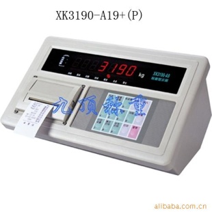 XK3190-A19 (P)汽车衡仪表