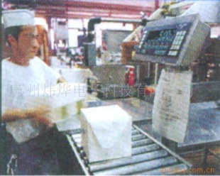标准工业衡器