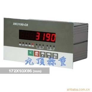 XK3190-C8控制仪表