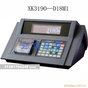 XK3190—D18M1汽车衡仪表