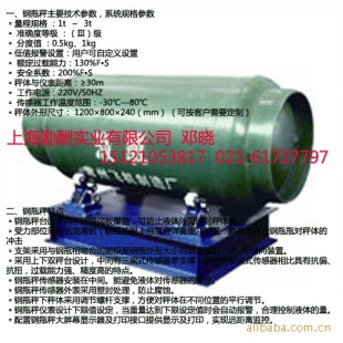 钢瓶储气量电子称
