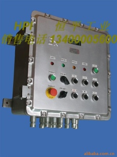 隔爆型称重控制显示仪