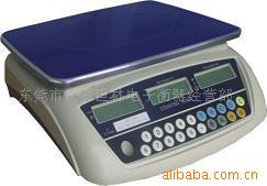 东莞凤岗电子衡器