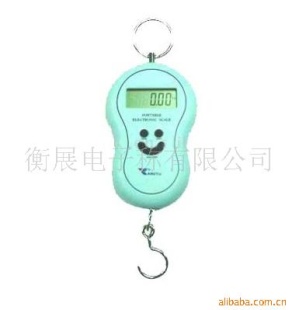 电子吊钩称 KYPS