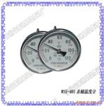 WSS-401杀蛹温度计