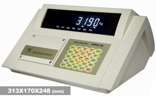 XK3190-DS1高性能汽车衡仪表