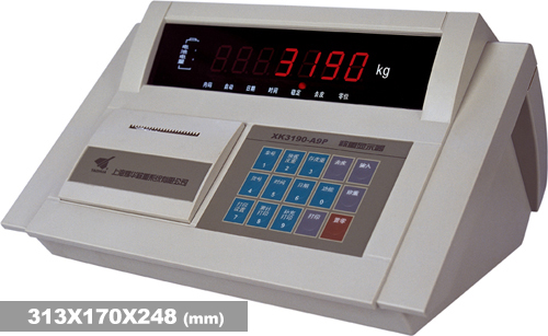 仪表XK3190-A9
