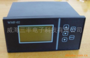 WMF-02双路液晶位移、角度显示表
