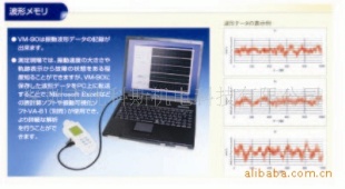 三向轨迹振动分析仪