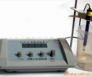 PHS-25酸度计