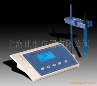 PH计 PHS-25