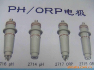 PH/ORP电极