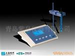 PHS-25型数字pH计