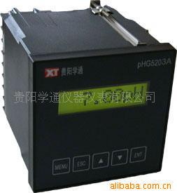 pHG5203A普通型在线PH计