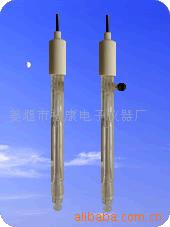 玻璃pH电极SG41