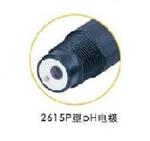 2615P-DpH复合电极