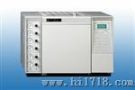 SP-6890气相色谱仪