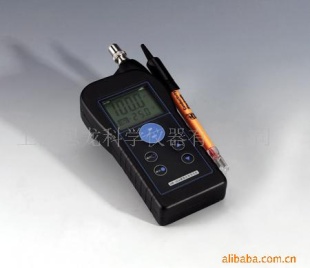 便携式电导率仪 DDB-303A