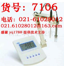 DDP210 电导率仪