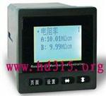 XN55-DZG303BA+工业在线电阻率仪