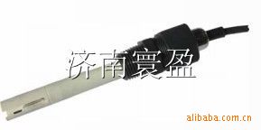 二极式电导率电极8-12-6二极式