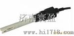 二极式电导率电极8-12-6二极式