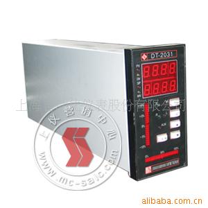 DT2031数字调节器