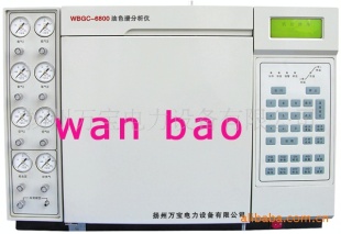 油色谱分析仪LYGC-6800
