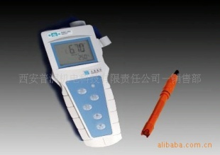 便携式溶解氧分析仪 JPBJ-608型
