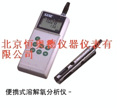 便携式溶解氧分析仪HA-8467
