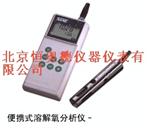 便携式溶解氧分析仪HA-8467