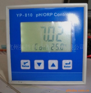 YP-810 PH/ORP仪
