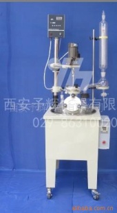 单层玻璃反应釜SF-10L
