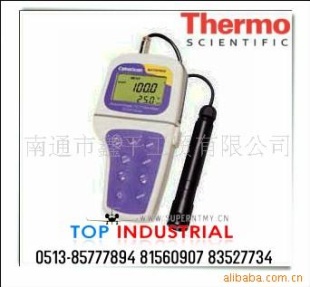 Thermo溶氧仪DO 300