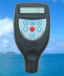 CM8825涂层测厚仪